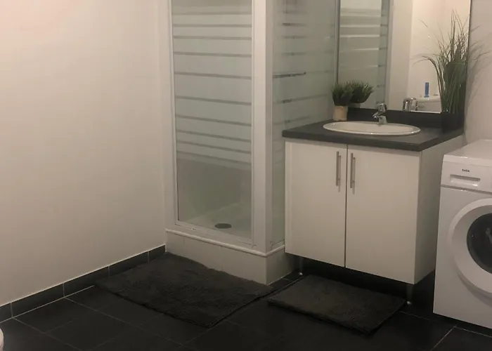 Appartement T2 Bayonne Avec Parking